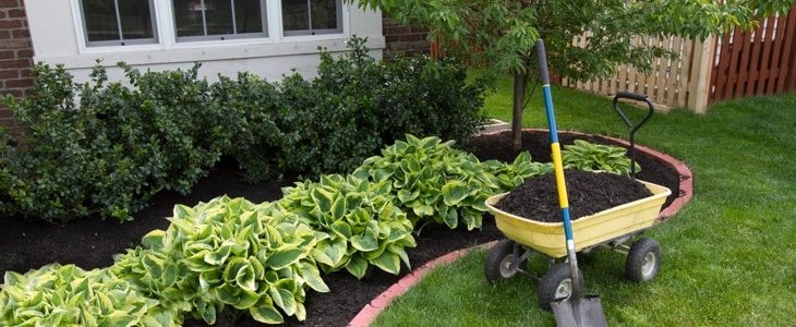 Beautify Your Lawn On A Budget, How Do I Landscape My Front Yard On A Budget